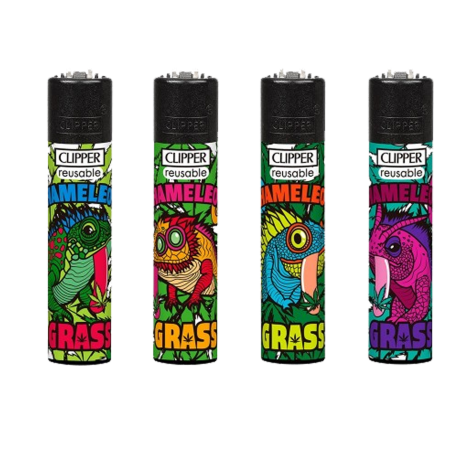 CHAMELEON GRASS